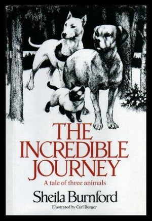 Incredible Journey,Used