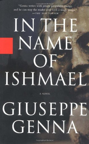 In the Name of Ishmael,Used