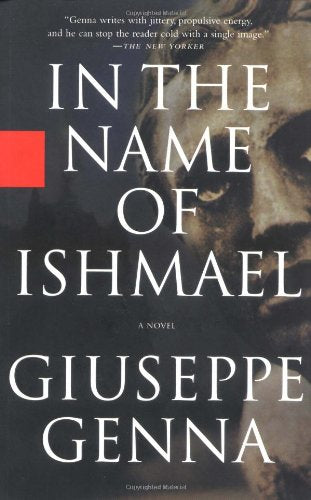 In the Name of Ishmael,Used