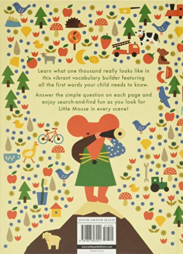 One Thousand Things: Learn Your First Words With Little Mouse (Learn With Little Mouse)-used