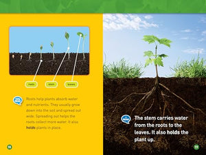 Plants (National Geographic Kids Readers, Level 1/Coreader),Used
