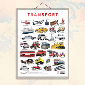 Transport Chart Hard Laminated | GowooS Transport Discovery