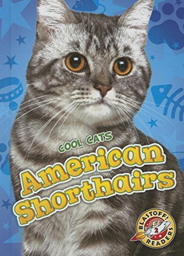 American Shorthairs (Cool Cats),New