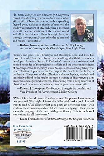 Snow Hangs on the Branches of Evergreens,Used