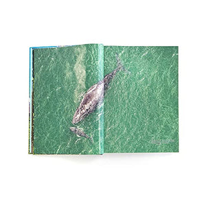 Costa Rica From Above (English and Spanish Edition),Used