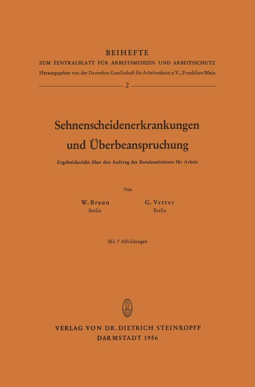 Sehnenscheidenerkrankungen und berbeanspruchung: Ergebnisbericht ber den Auftrag des Bundesministers fr Arbeit (Beihefte zum Zen,Used