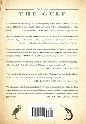 The Gulf: The Making of An American Sea,Used