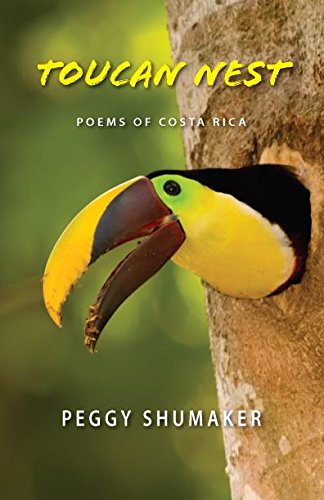 Toucan Nest,Used