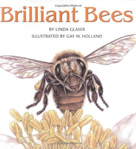 Brilliant Bees,Used