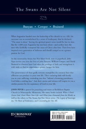 The Hidden Smile of God: The Fruit of Affliction in the Lives of John Bunyan, William Cowper, and David Brainerd (Volume 2),Used