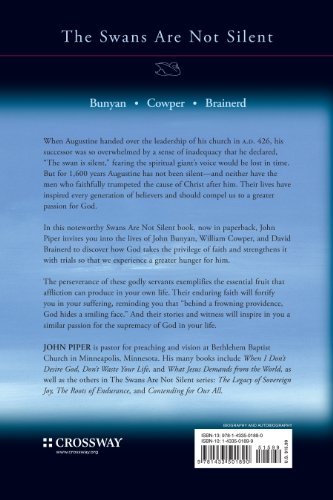 The Hidden Smile of God: The Fruit of Affliction in the Lives of John Bunyan, William Cowper, and David Brainerd (Volume 2),Used