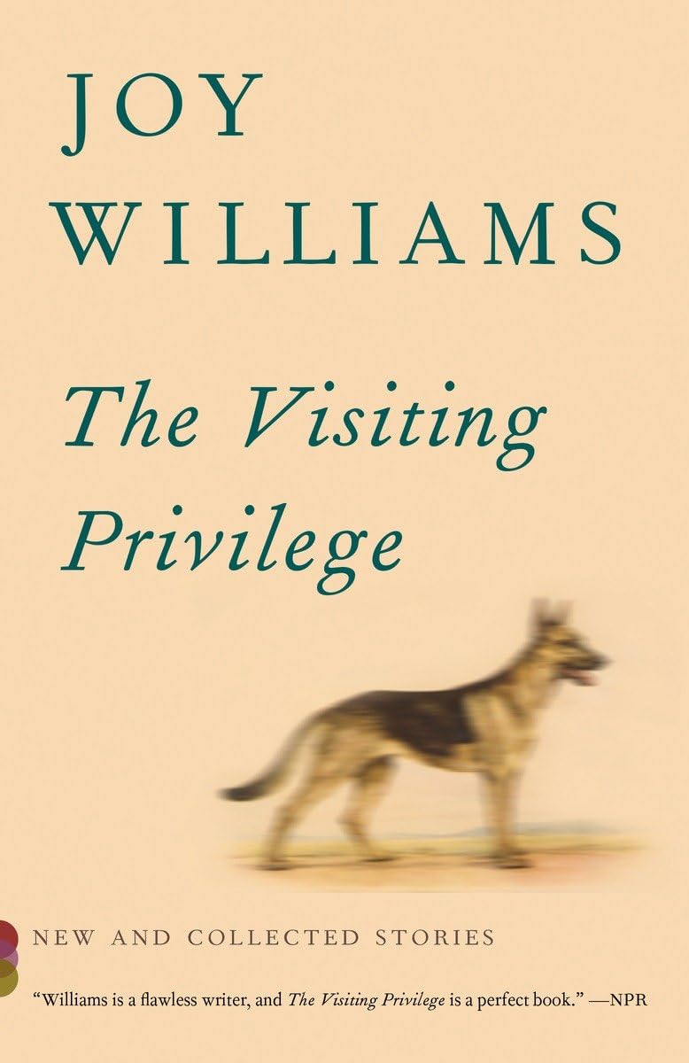 The Visiting Privilege: New and Collected Stories (Vintage Contemporaries),Used