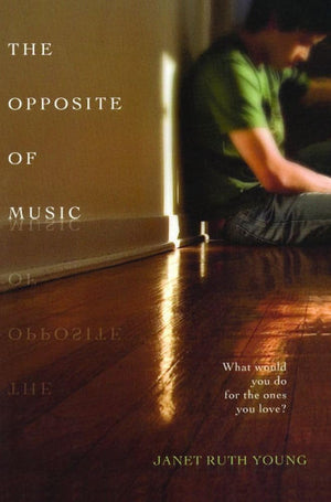 The Opposite of Music,Used