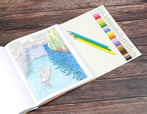 Large Print Calm ColorbyNumber