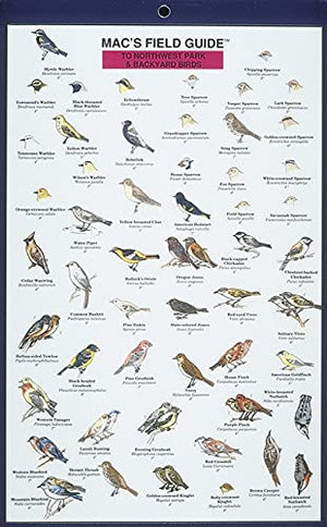 Mac's Field Guides: Northwest Park & Backyard Birds (Mac's Guides (Paperback)),New
