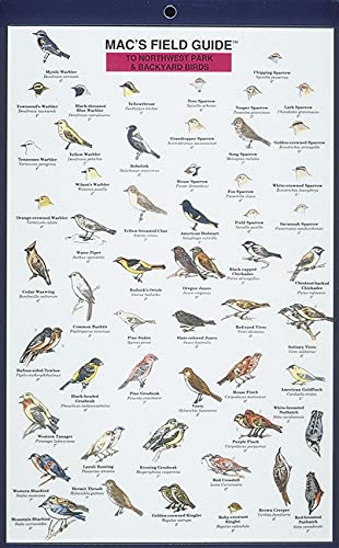 Mac's Field Guides: Northwest Park & Backyard Birds (Mac's Guides (Paperback)),Used