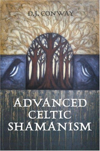 Advanced Celtic Shamanism,Used