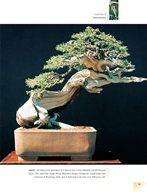 The Bonsai Handbook (IMM Lifestyle Books) The Science and Art of Bonsai from Anatomy to Aesthetics, and How to Grow Your Own, in,New