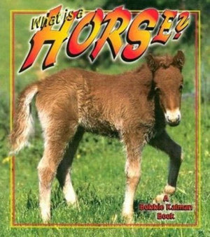 What is a Horse? (The Science of Living Things),Used