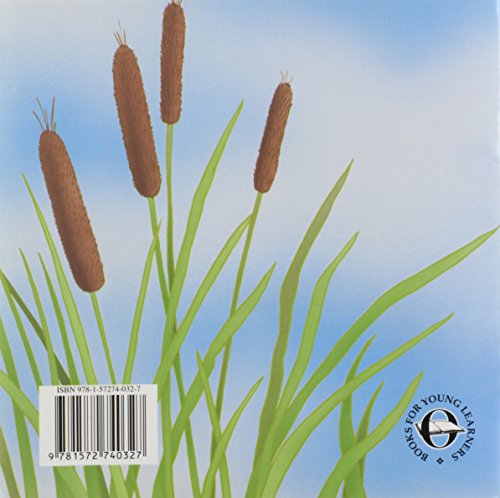 Libelulas (Books for Young Learners) (Spanish Edition),Used