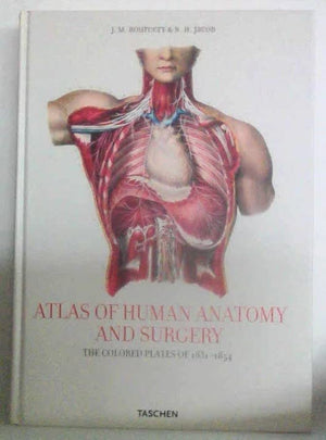 Bourgery Atlas,New