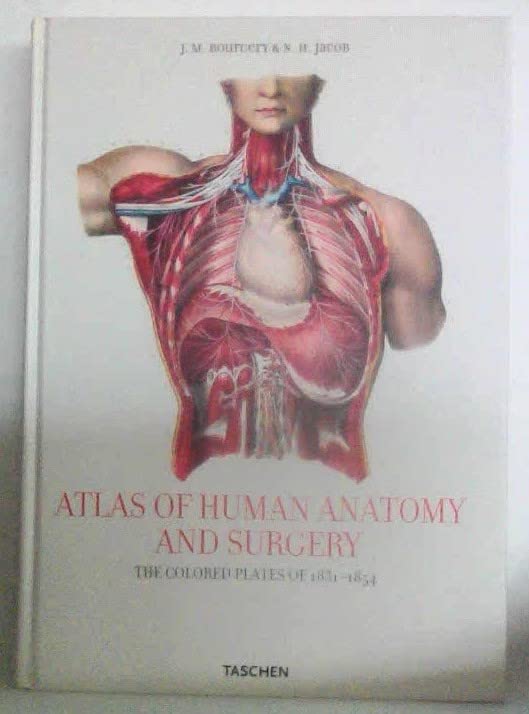 Bourgery Atlas,New