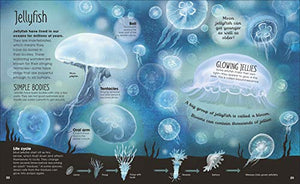 Earth'S Incredible Oceans (The Magic And Mystery Of The Natural World)