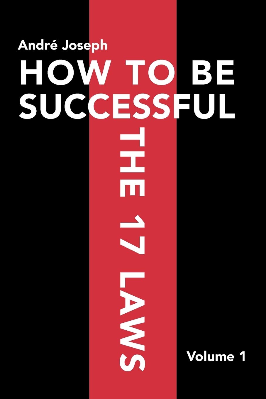 HOW TO BE SUCCESSFUL THE 17 LAWS: Volume 1,Used