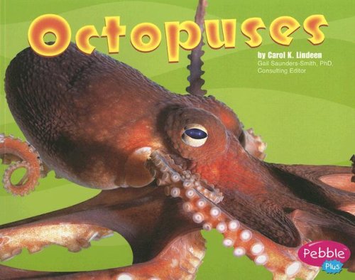 Octopuses (Pebble Plus: Under the Sea),Used