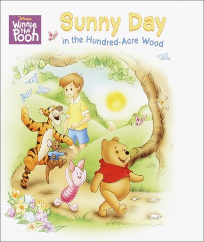 Sunny Day in the HundredAcre Wood (Super Tab Books),Used