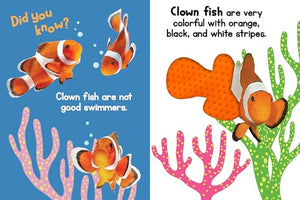 Ocean Friends  Touch and Feel Board Book  Sensory Board Book,New