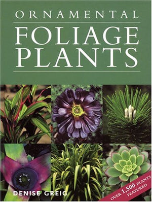 Ornamental Foliage Plants,Used