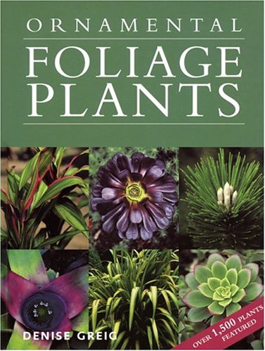 Ornamental Foliage Plants,Used