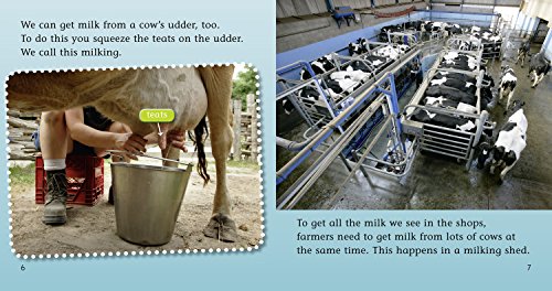 From Cow to Carton: Band 04/Blue (Collins Big Cat Phonics),Used