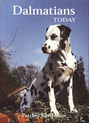 Dalmatians Today,Used