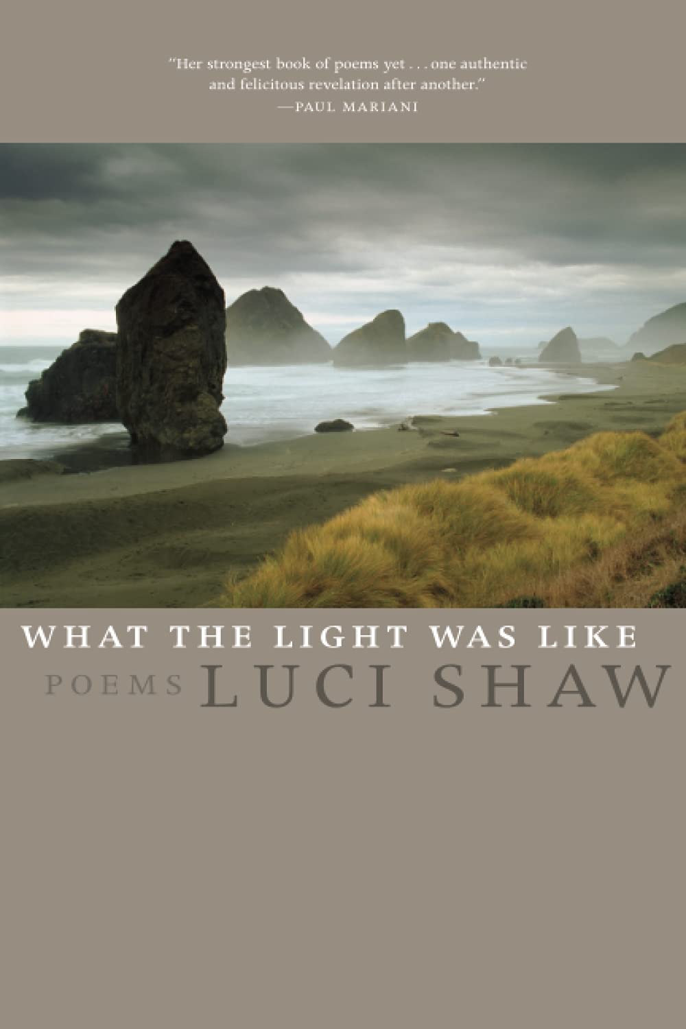 What the Light Was Like: Poems,Used