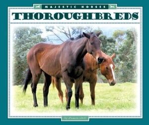 Thoroughbreds (Majestic Horses),Used