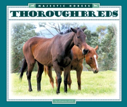 Thoroughbreds (Majestic Horses),Used