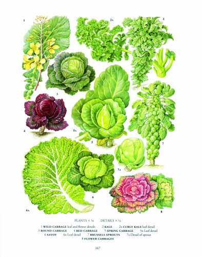 The New Oxford Book Of Food Plants,Used