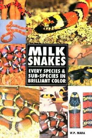 Milk Snakes,Used
