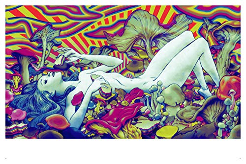 PAREIDOLIA: A Retrospective of Beloved and New Works by James Jean (Japanese Edition),Used