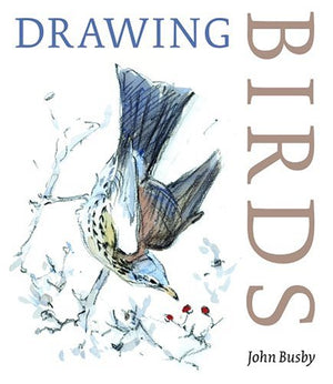Drawing Birds,Used