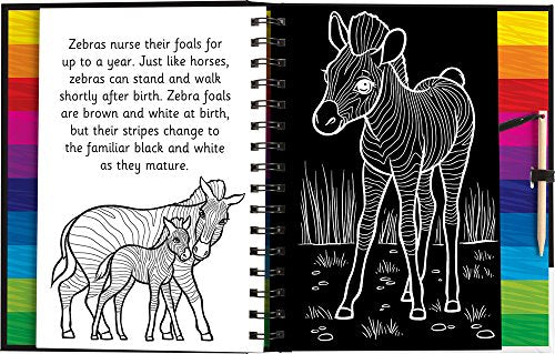 Scratch and Draw Animals,Used