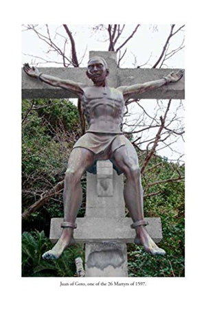 In Search of Japan's Hidden Christians: A Story of Suppression, Secrecy and Survival,Used