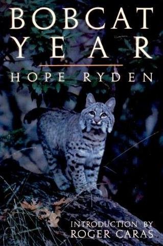 Bobcat Year,Used