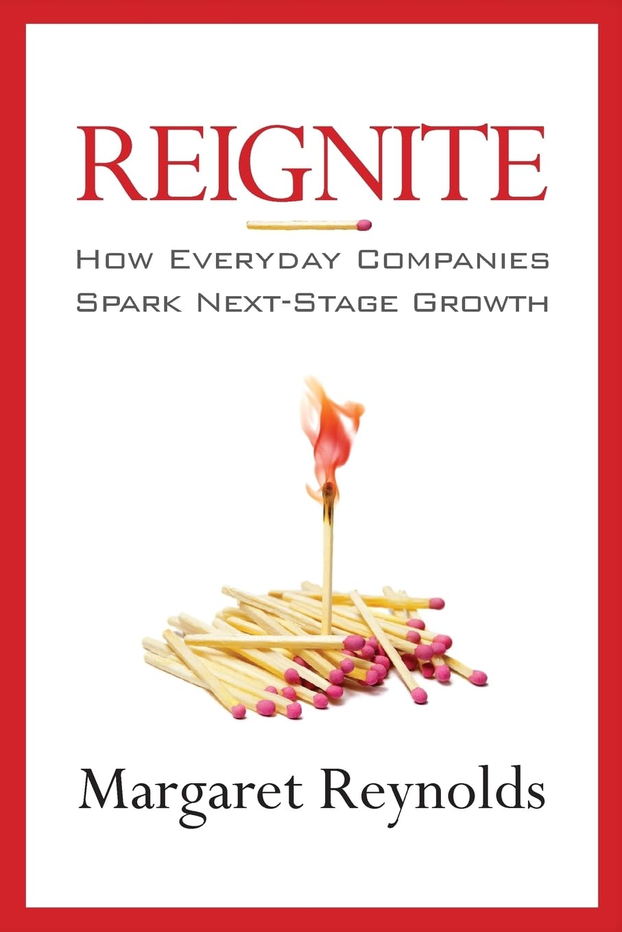 Reignite: How Everyday Companies Spark Next Stage Growth,Used