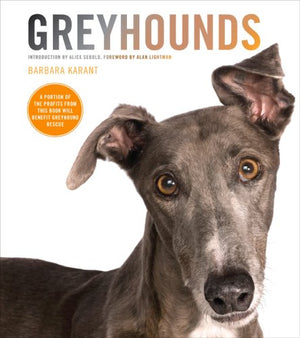 Greyhounds-Used Condition