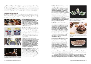 Gua Sha Scraping Massage Techniques: A Natural Way of Prevention and Treatment through Traditional Chinese Medicine,New