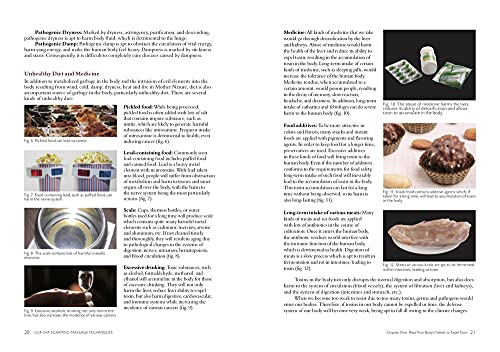 Gua Sha Scraping Massage Techniques: A Natural Way of Prevention and Treatment through Traditional Chinese Medicine,New