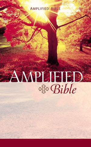 Amplified Bible Mass Market,Used